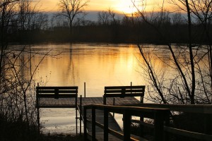 IMG_9686