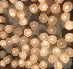 church-candles
