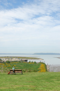 Garden bench in a park overlooking industrial district